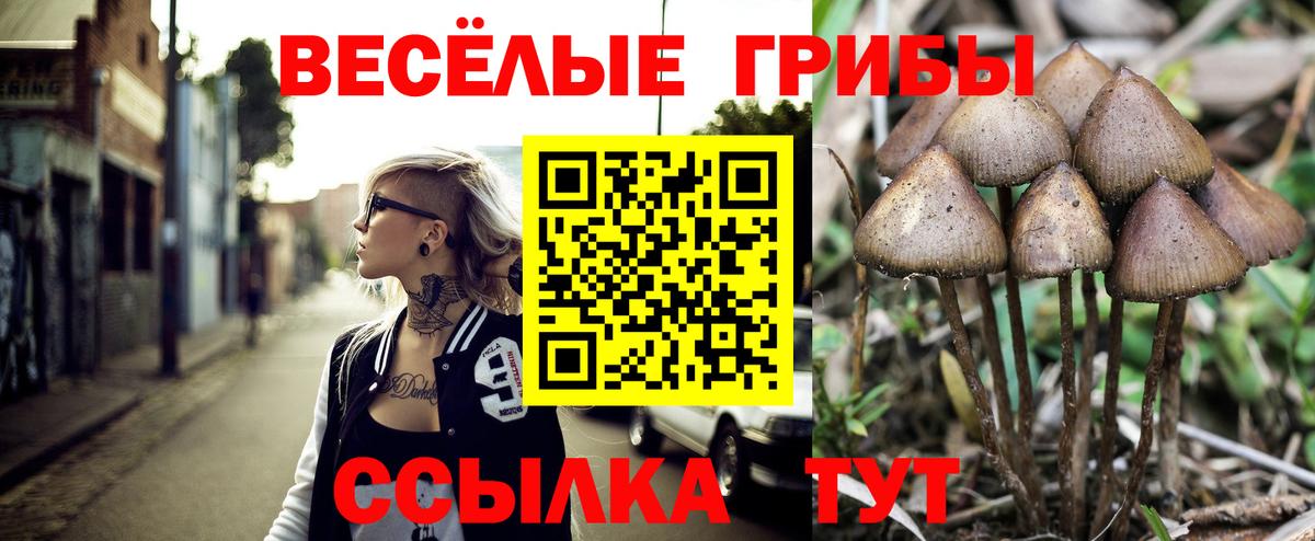 Псилоцибиновые грибы мицелий Белогорск